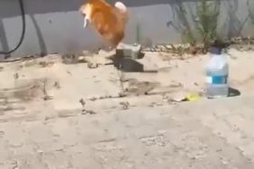 Mersin Silifke’de su sıkıntısı: Bidonlarla su taşıyan köylüler destek istedi 1 thumbnail