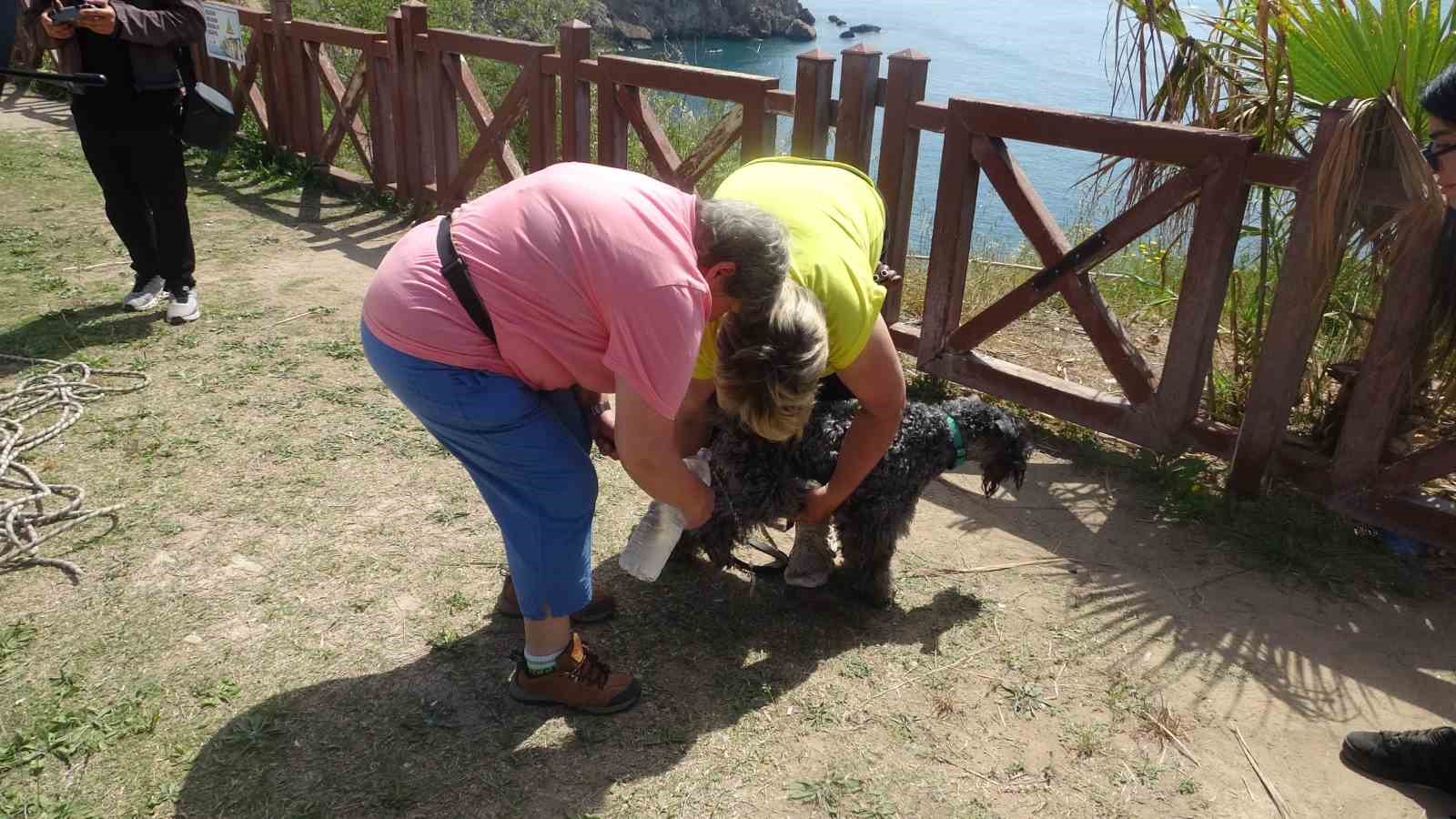 kedi kovalarken falezlerden dusup mahsur kalan kopege film gibi kurtarma operasyonu 7 GKX1wNAq