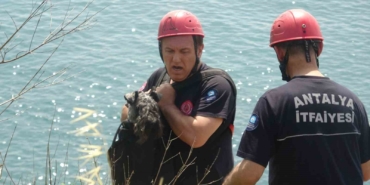 kedi-kovalarken-falezlerden-dusup-mahsur-kalan-kopege-film-gibi-kurtarma-operasyonu-nYIF1lVL.jpg
