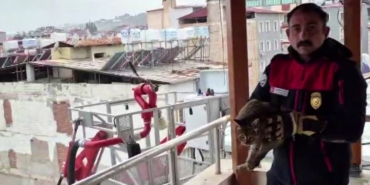 kedi-kurtarma-operasyonuyla-gonulleri-fetheden-itfaiye-ekibine-alkisli-tesekkur-KtOeU5rP.jpg