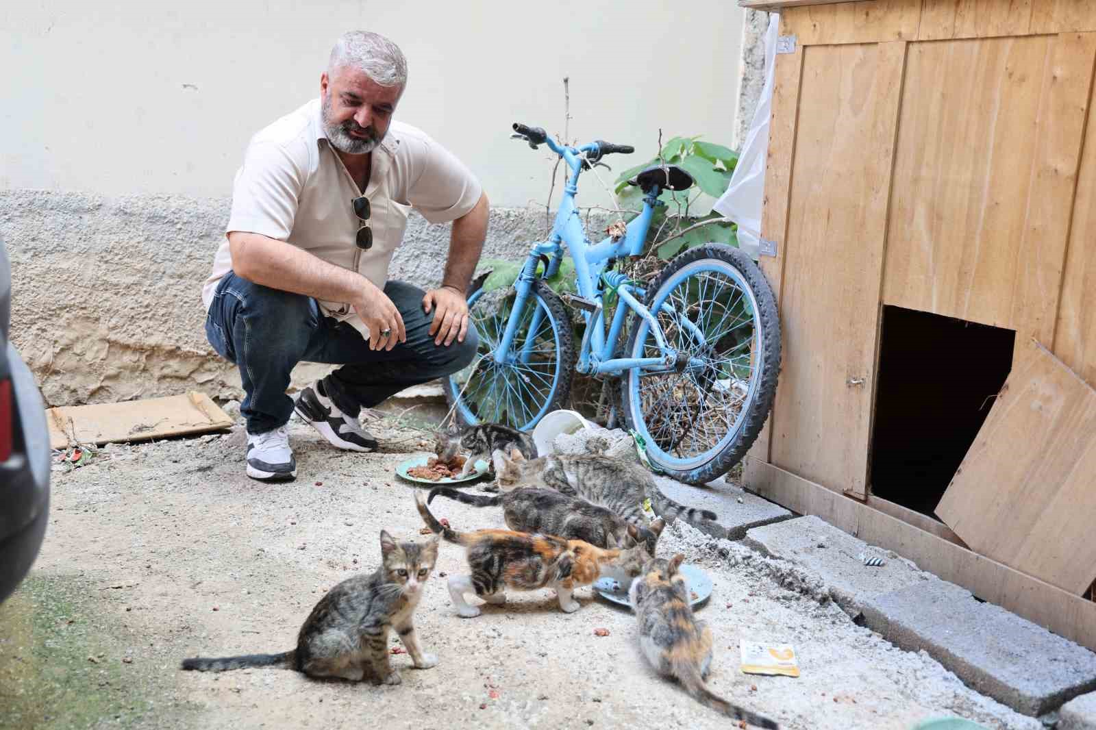 kedi mamasi calan hirsiz vatandasi canindan bezdirdi 6 2Hl2NlmK