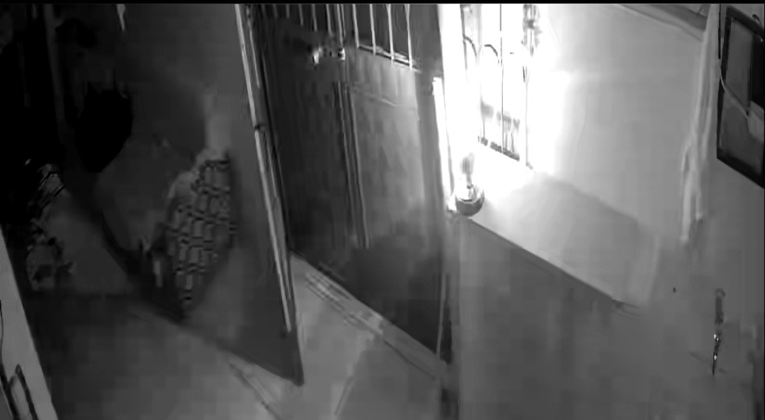 kedilerinin mamasina dadanan porsuk icin evine alarm sistemi kurdu 2 QIur8URZ