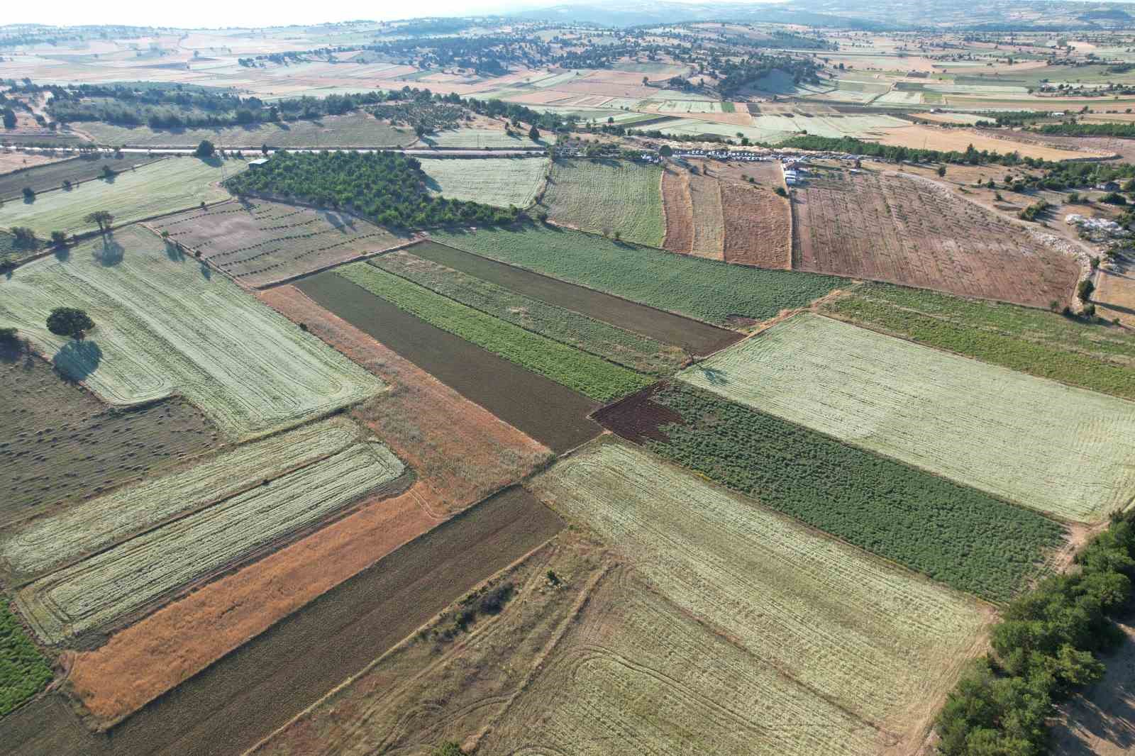Kekiğin ambarında ilk orak vuruldu 6 kekigin ambarinda ilk orak vuruldu 2 OUNSGPiC