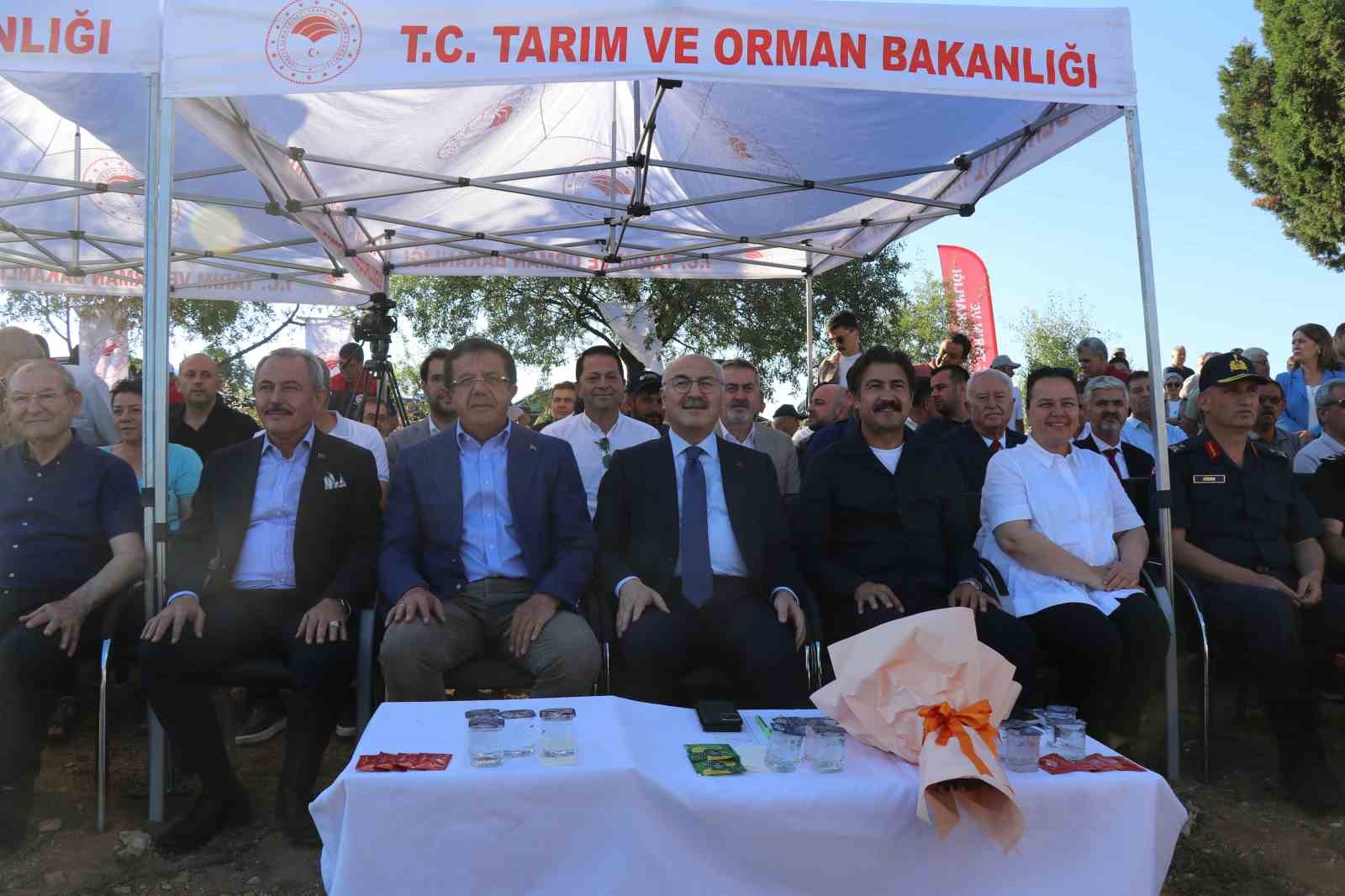 Kekiğin ambarında ilk orak vuruldu 7 kekigin ambarinda ilk orak vuruldu 3