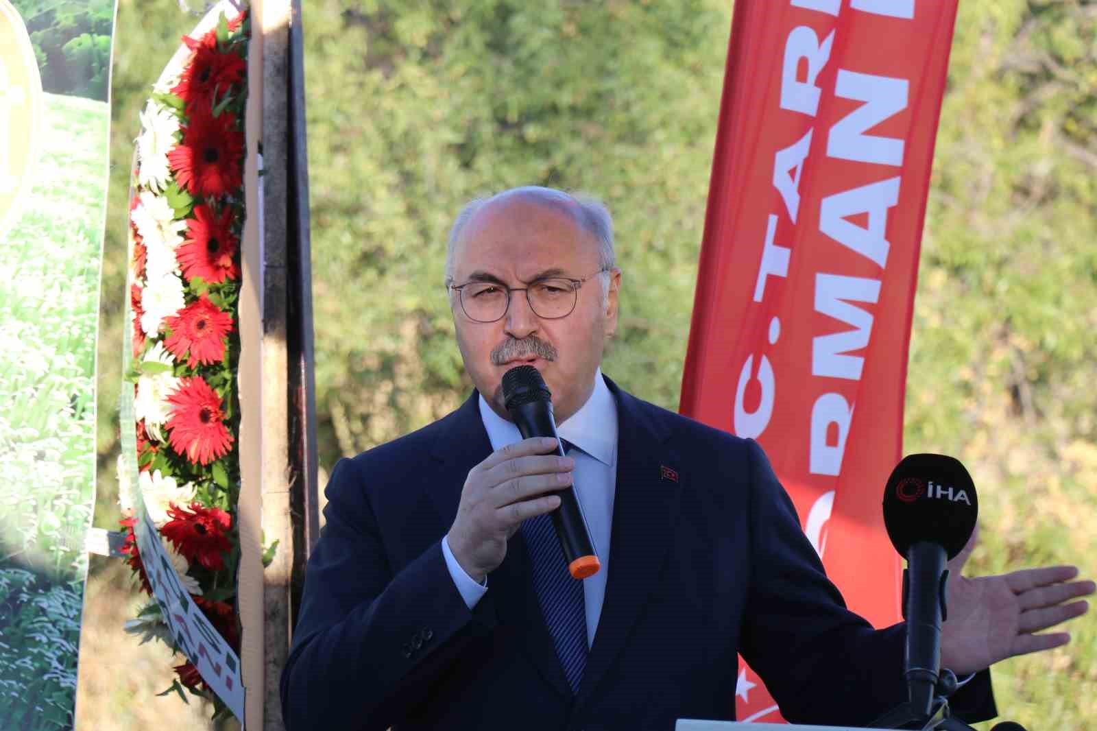 Kekiğin ambarında ilk orak vuruldu 10 kekigin ambarinda ilk orak vuruldu 6 pFqVh6Ra