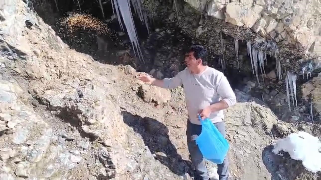 keklikler icin dogaya yem biraktilar 2