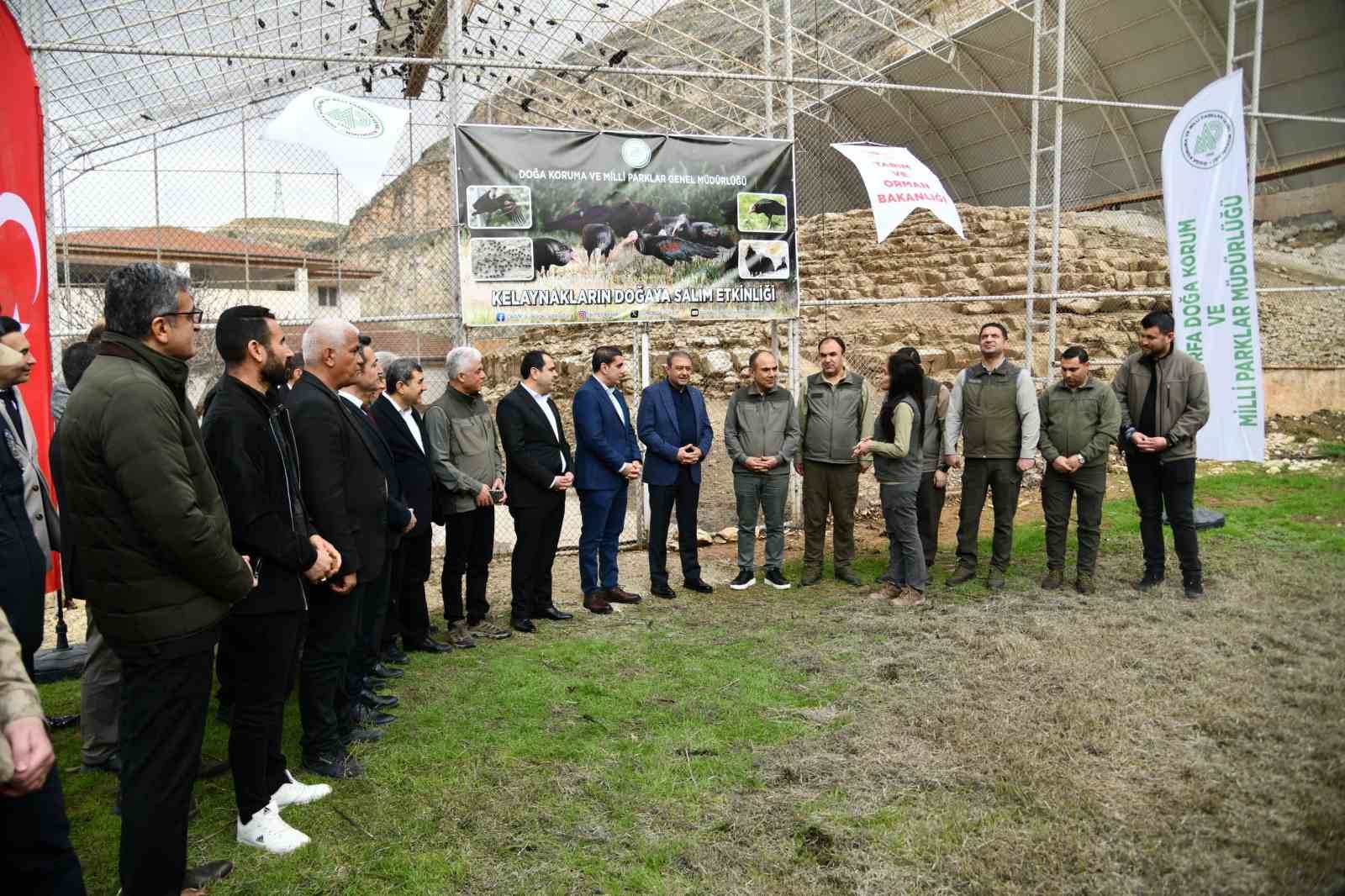 kelaynaklar dogaya salindi 1 N62blUIN