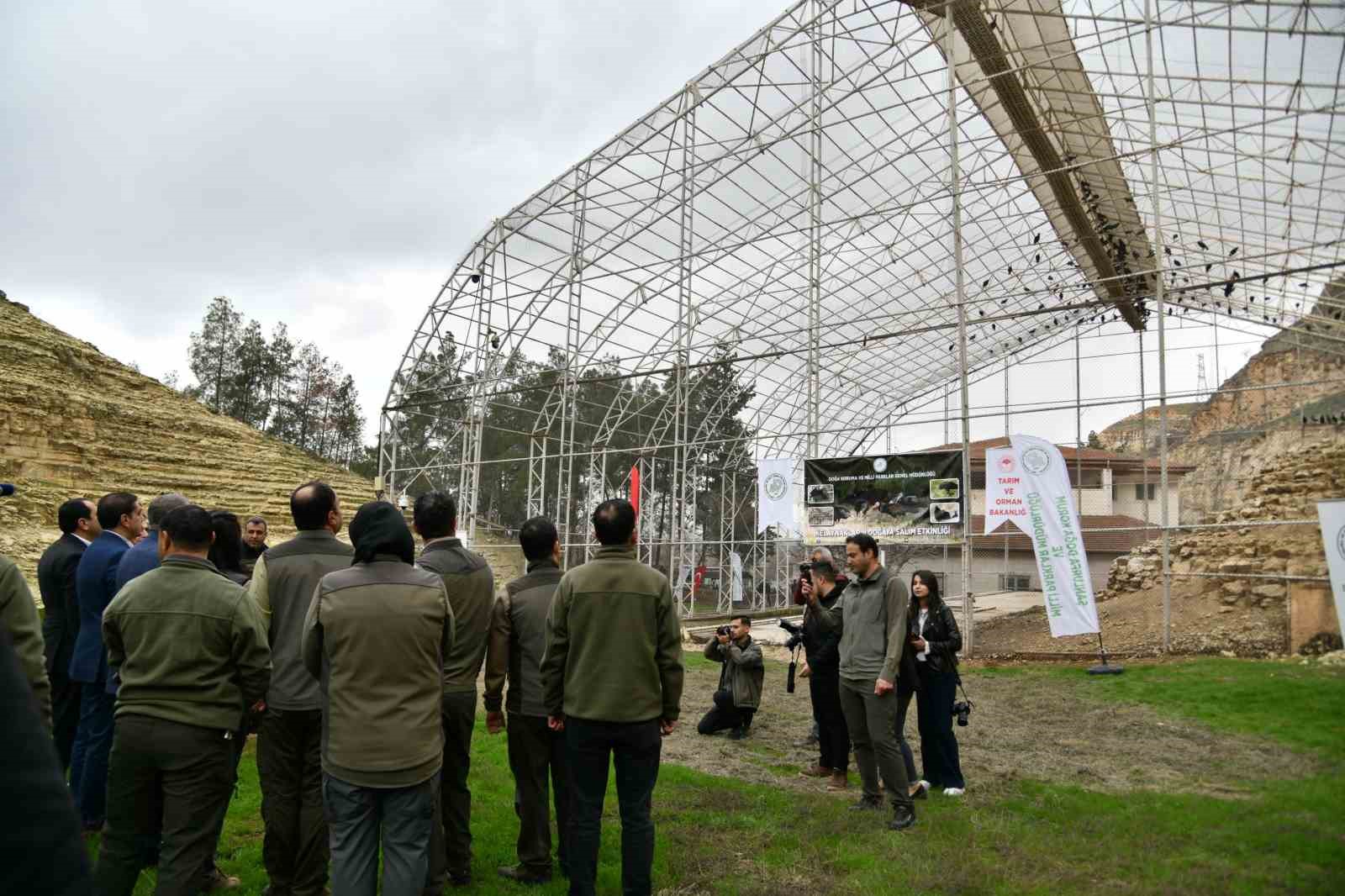 kelaynaklar dogaya salindi 3 1Ssmc1Qv