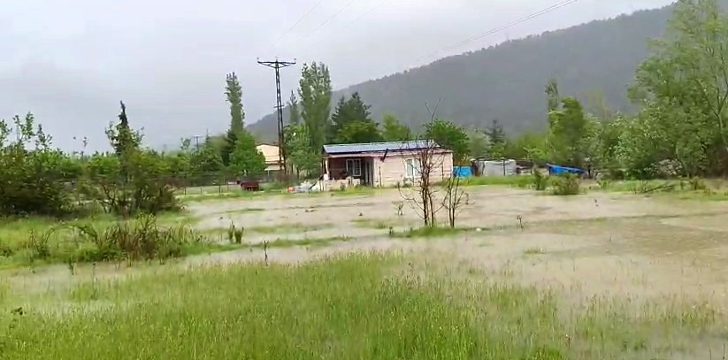 kelkitcayi tasti koyler ve tarim arazileri sular altinda kaldi 0 UtbJZf56