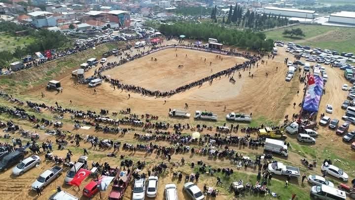 kemalpasada 3 boga guresi festivali heyecani 0 cNLGYh2e