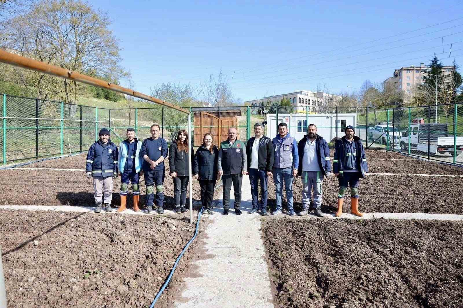 kendi kompost gubresini ureten belediyeden ata tohumu hamlesi 4 59LEPPM8