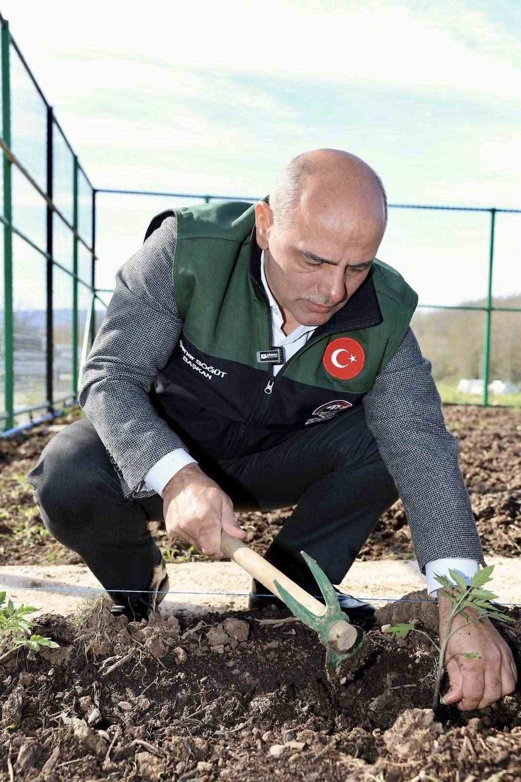 kendi kompost gubresini ureten belediyeden ata tohumu hamlesi 5