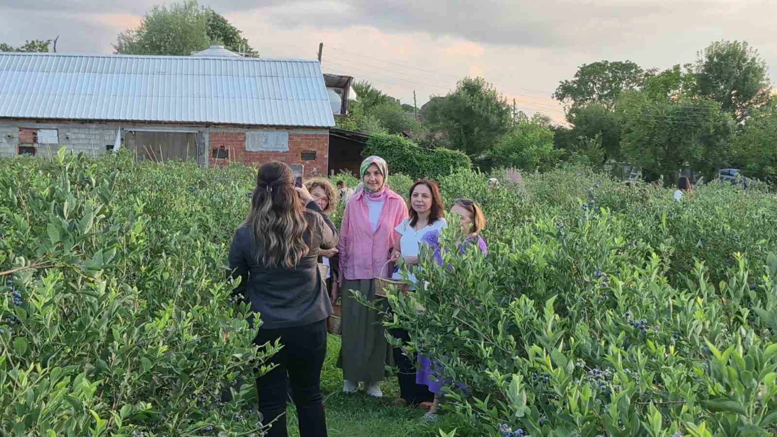 kendi sepetini alan bahceye kostu yaban mersini hasadina yogun ilgi 1 SmgTvPEJ