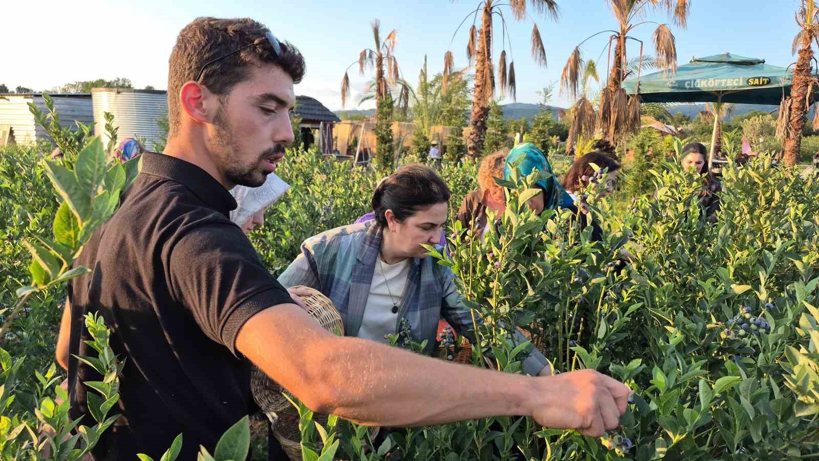 kendi sepetini alan bahceye kostu yaban mersini hasadina yogun ilgi 2 eU9qaG9M