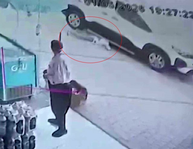 kendisini ezilmekten kurtaran kisiyle gorusup elini optu 1 mNFmAvBf