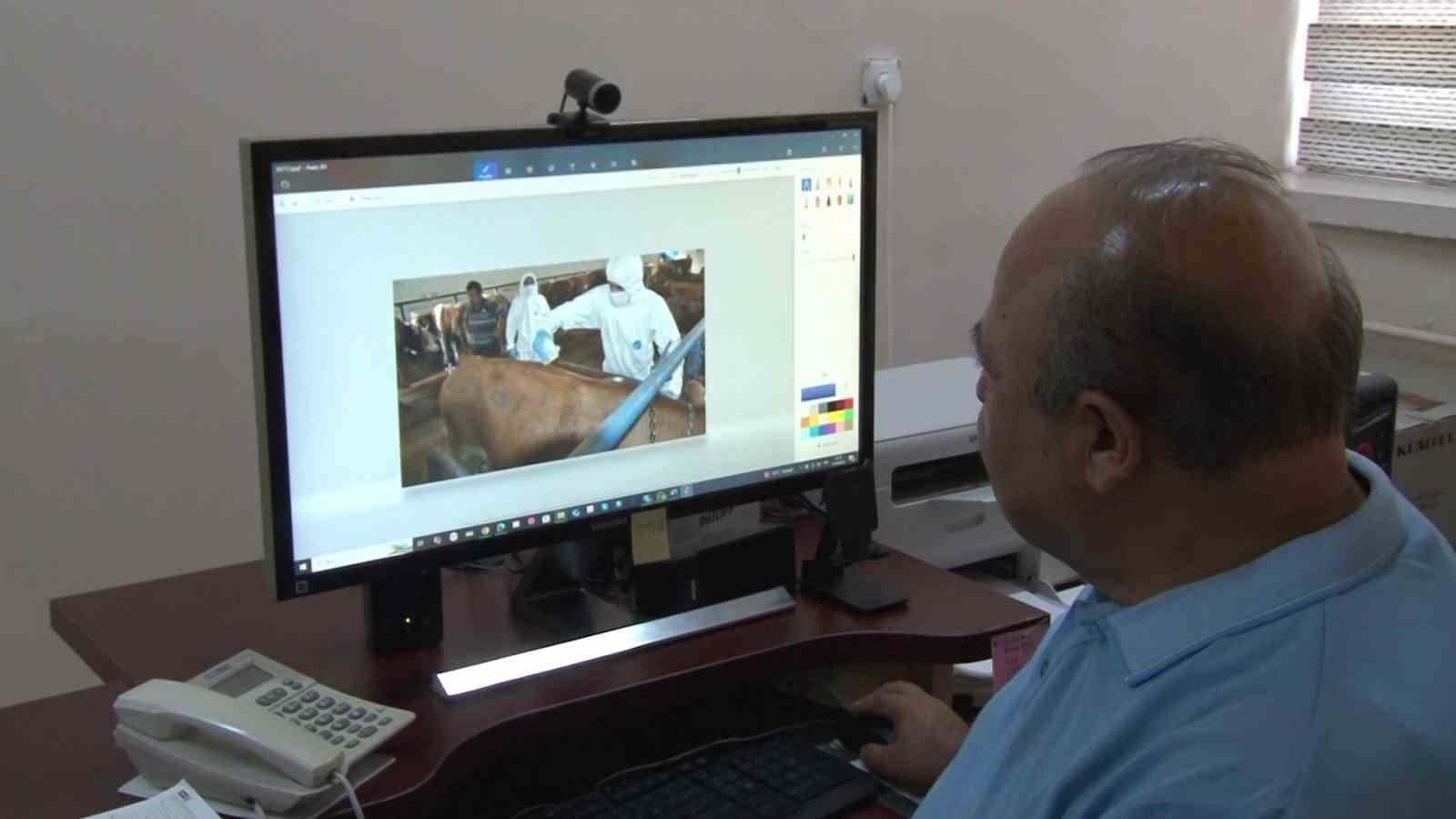 kene kabusu geri geldi yagislardan dolayi bu sene populasyon daha fazla olabilir 3 BUM2ZbOd