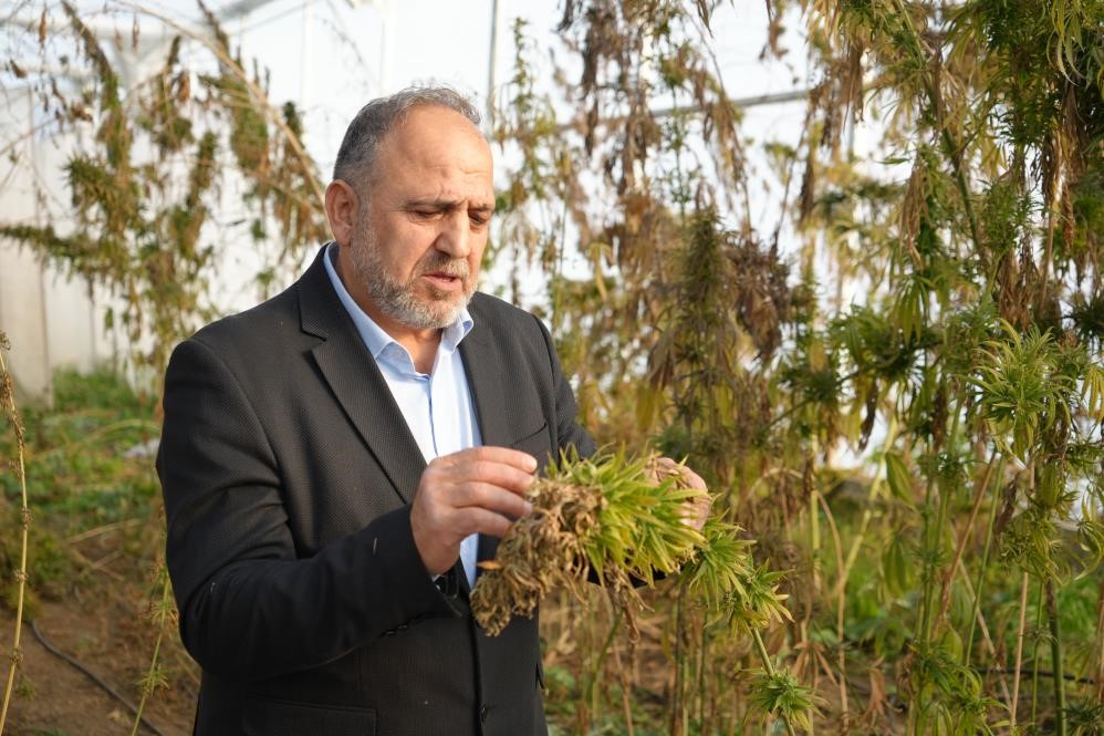 kenevirden kaucuk krem ve biyomalzeme omuden cok yonlu kenevir calismalari 0 bOI9B9G6