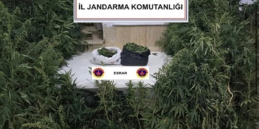 kenevirleri-sularken-sucustu-yakalandi-4LAe2u7Y.jpg