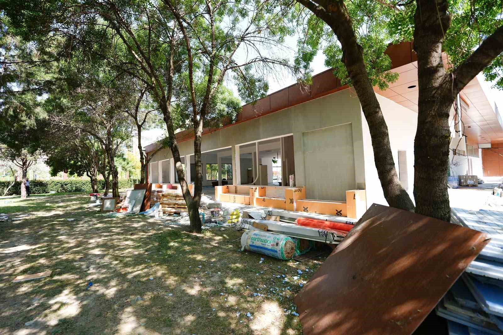 kent parkta kotu koku tarihe karisiyor 4 kfuKwd2K