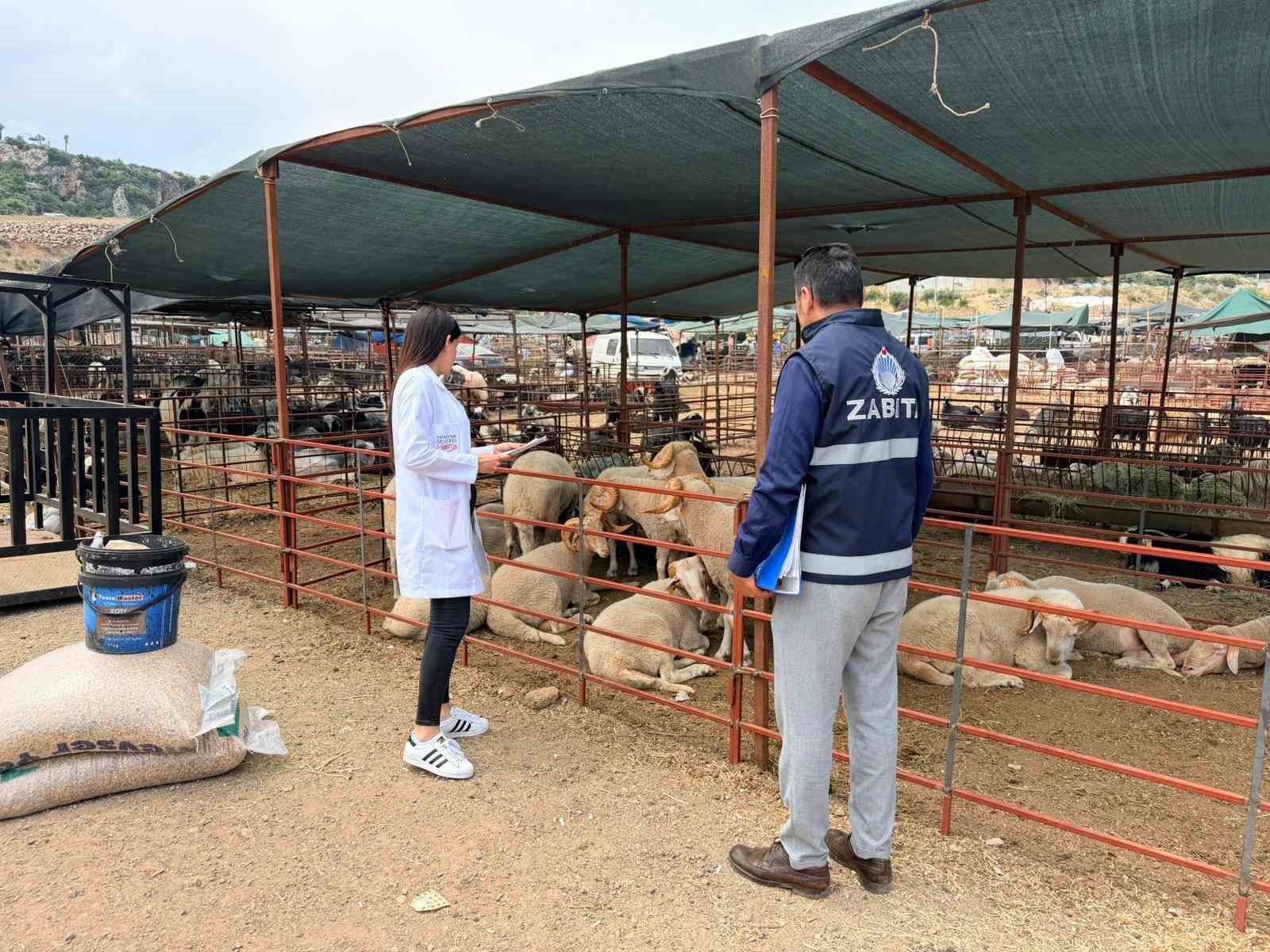 kepezde kurban satis ve kesim yerleri denetim altinda 5 wGHRZ8pG