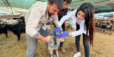 kepezde-kurban-satis-ve-kesim-yerleri-denetim-altinda-5LFDDSXU.jpg