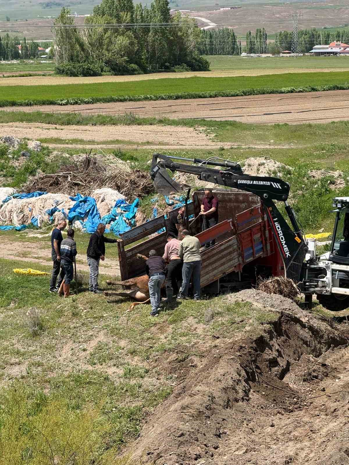 kesime bir gun kala ortaligi birbirine katti 4 saat sonra yakalandi 0 mSyQCnHr