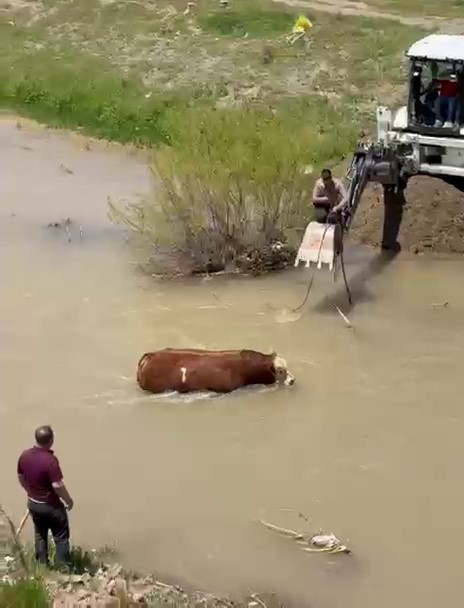 kesime bir gun kala ortaligi birbirine katti 4 saat sonra yakalandi 1 vFeRf3ZB