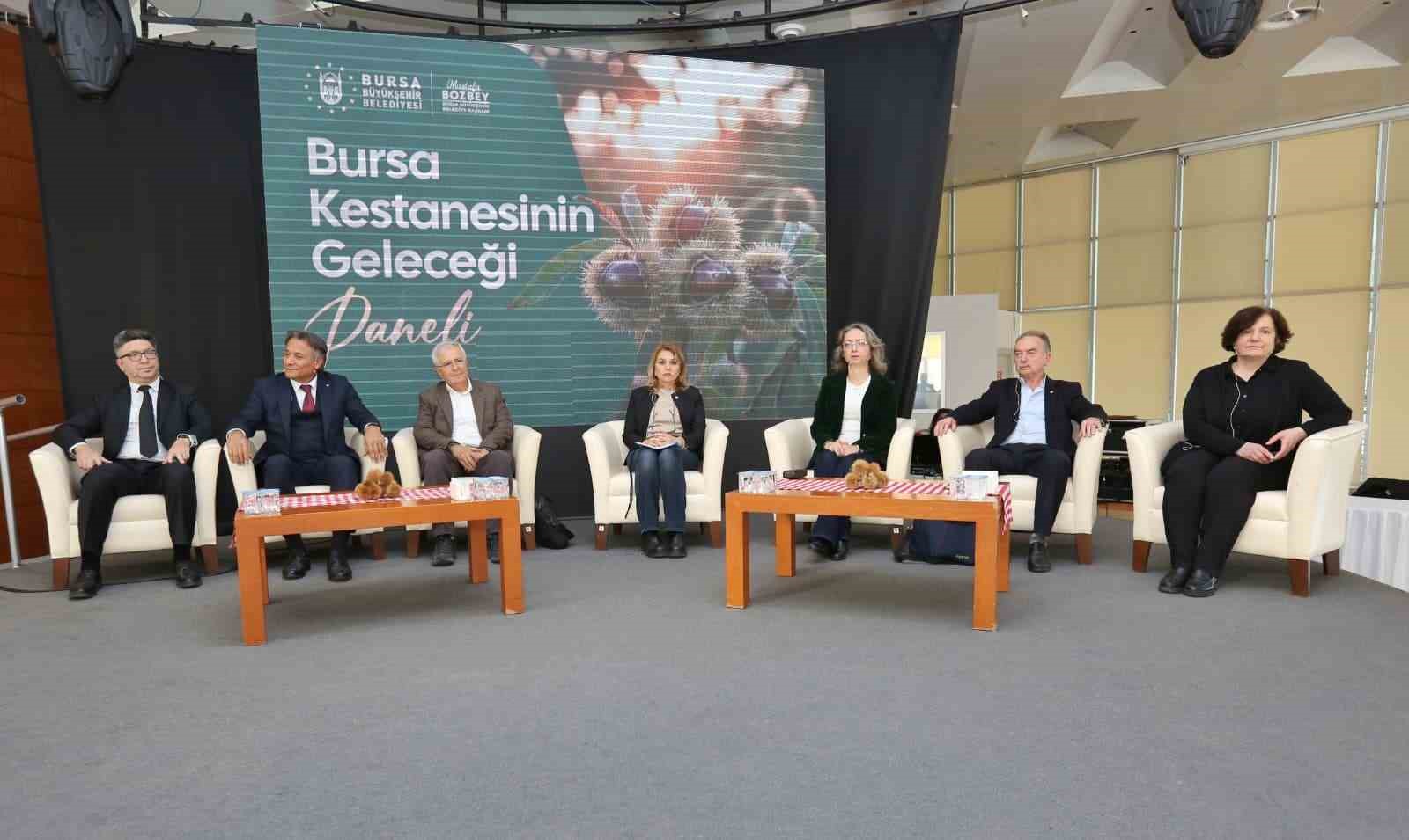 kestane buyuksehirle filizleniyor 2 jdmFDkJS