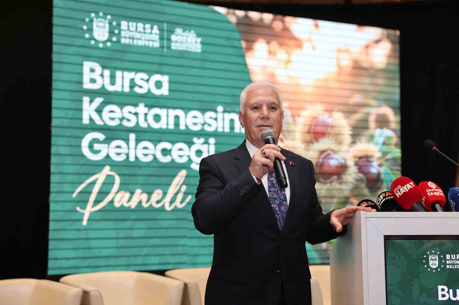 kestane buyuksehirle filizleniyor 5 84ITglpn