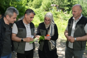 kestane-ormanlarini-korumak-icin-5-bin-samuray-arisi-dogaya-salindi-iLvwlJhR.jpg