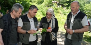 kestane-ormanlarini-korumak-icin-5-bin-samuray-arisi-dogaya-salindi-iLvwlJhR.jpg