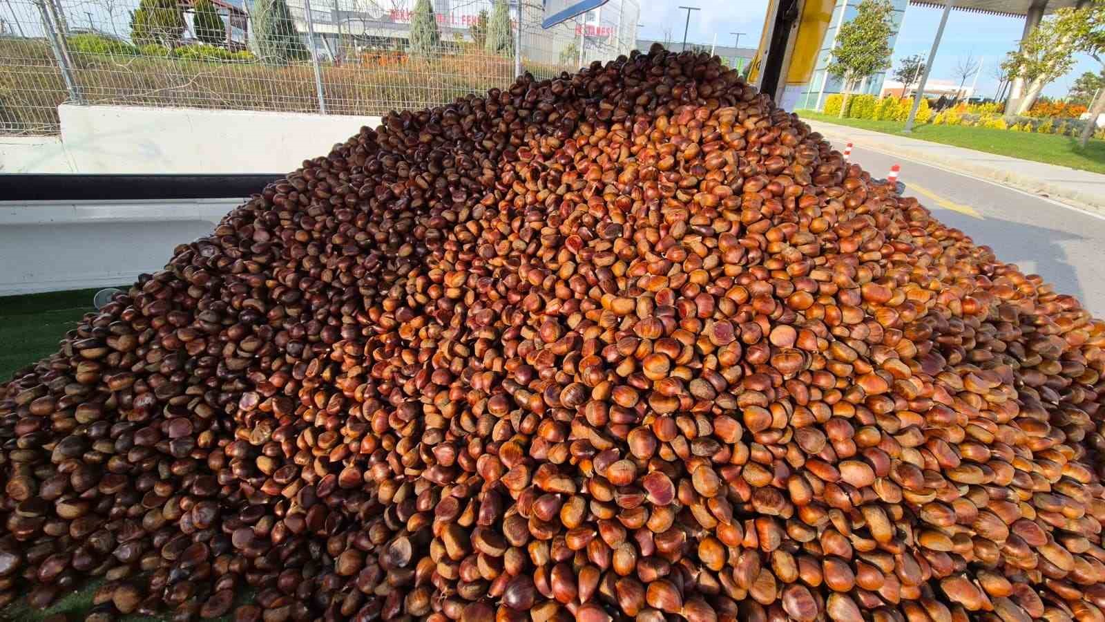 kestane sezonu acildi kilosu 175 lira 1 eRfIFrSe