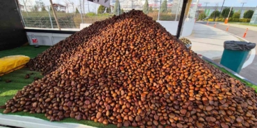 kestane-sezonu-acildi-kilosu-175-lira-2yQJg3Up.jpg
