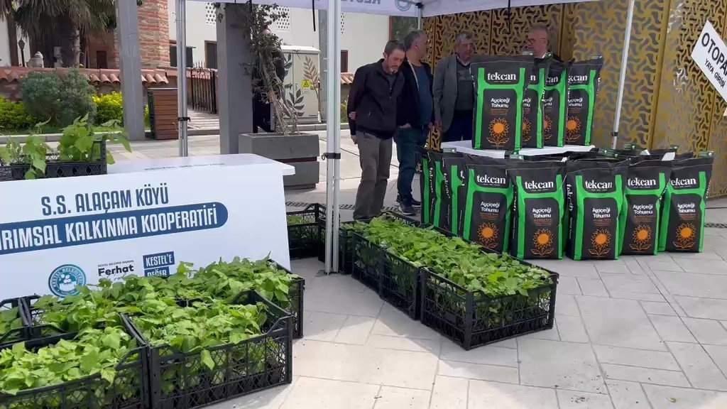 kestelde ureticiye 6 bin ahududu fidani destegi 1 riHi4X3c
