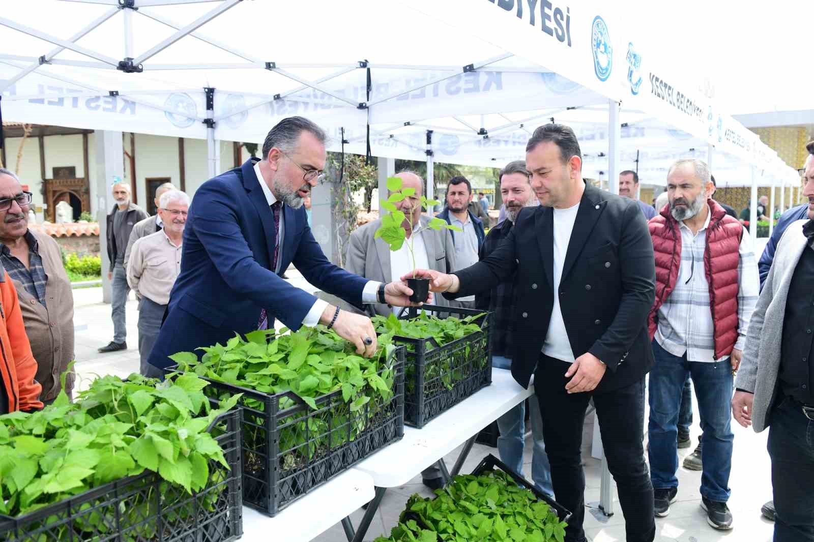 kestelde ureticiye 6 bin ahududu fidani destegi 2 PgiD6Jnz