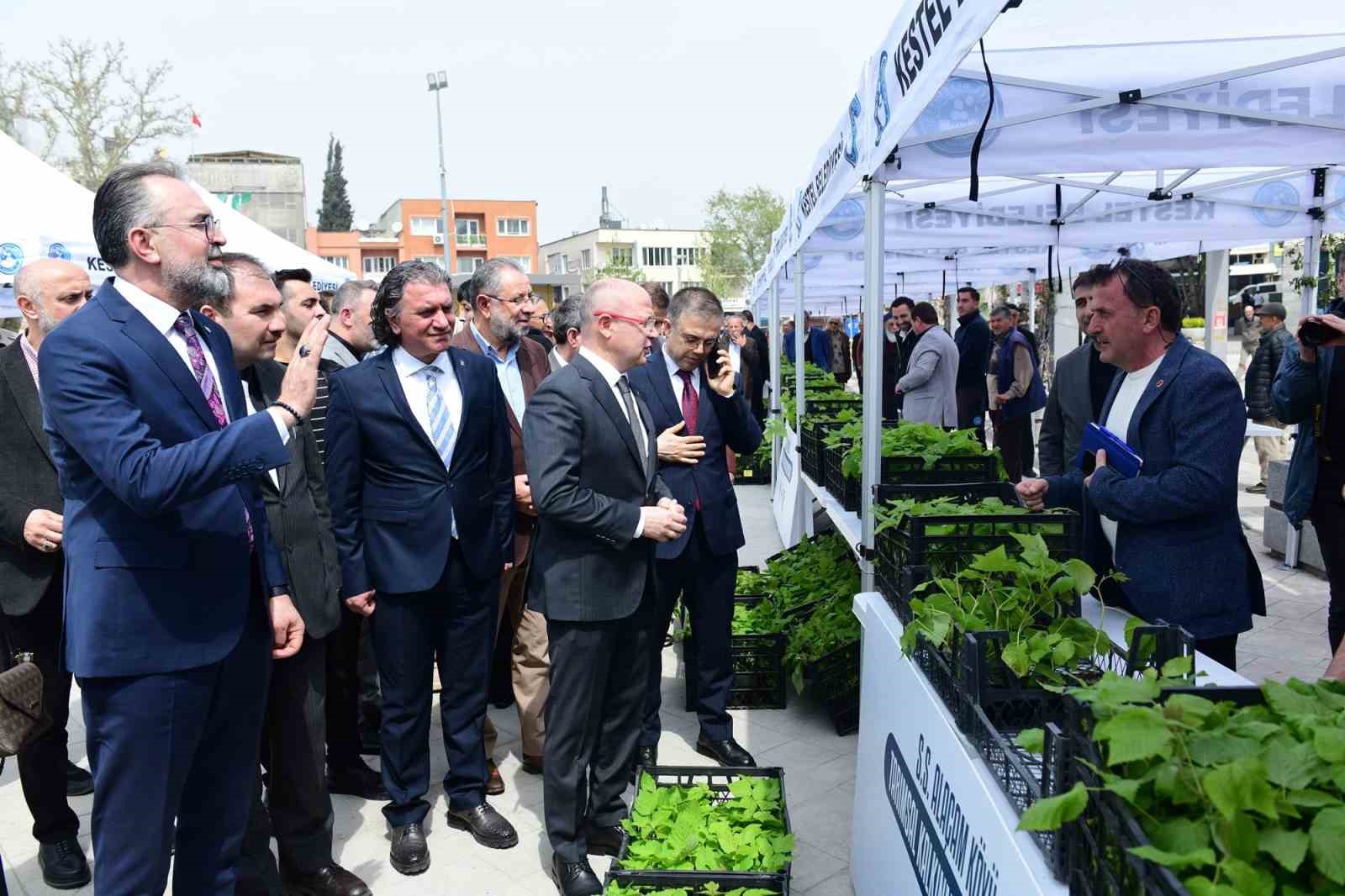 kestelde ureticiye 6 bin ahududu fidani destegi 3 hqvK8sMG
