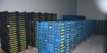 kestele-400-milyon-liralik-dev-meyve-tesisi-kuruluyor-Gb5wMvTI.jpg