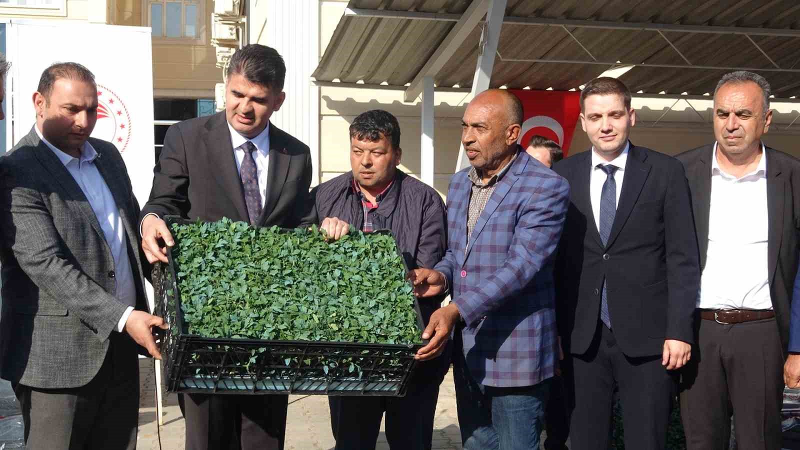 kiliste 320 ciftciye uzum sali 250 ciftciye 400 bin fide destegi 1 VC2DenZF
