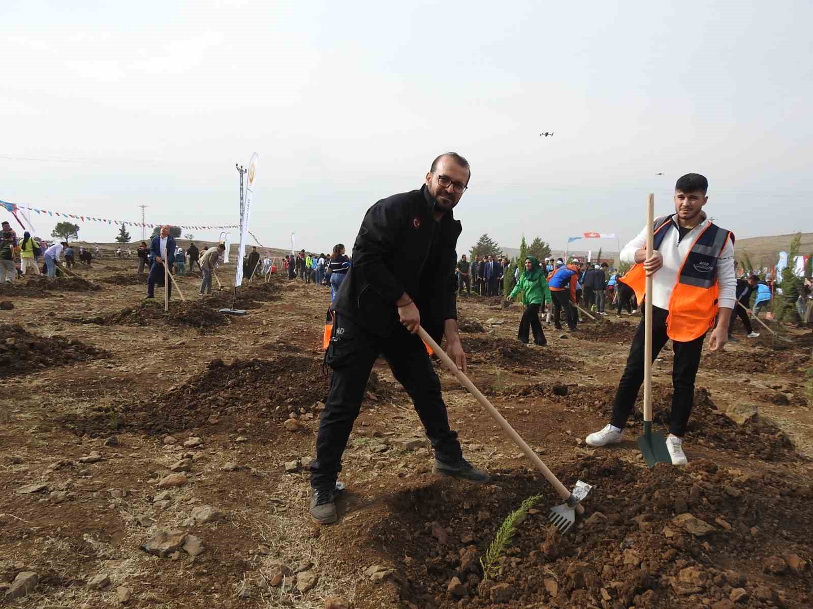 kiliste binlerce fidan toprakla bulustu 3 EvSS3OXb