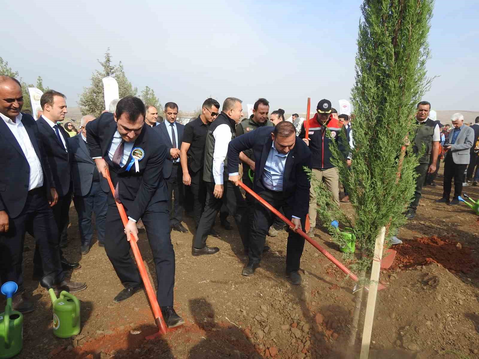 kiliste binlerce fidan toprakla bulustu 5 eFUG1f2s