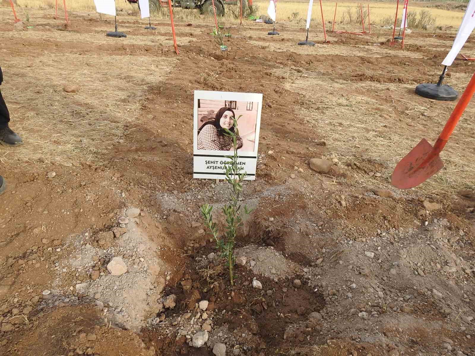 kiliste ciftciye hayat olsun projesinde 10 bin fidan toprakla bulustu 1 4NcyhT34