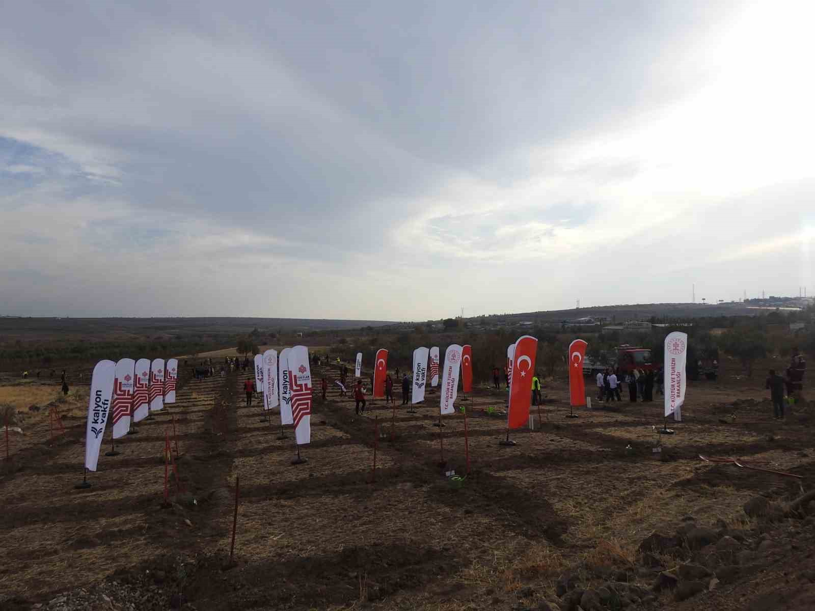 kiliste ciftciye hayat olsun projesinde 10 bin fidan toprakla bulustu 3 fXmkMr7i