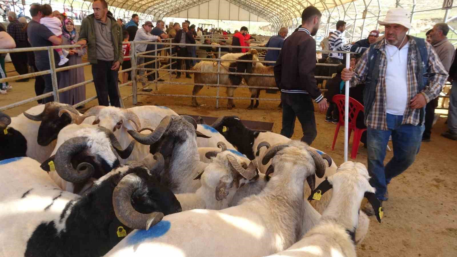 kiliste kurbanlik pazarinda hareketlilik artti 1 W2IXuhy4