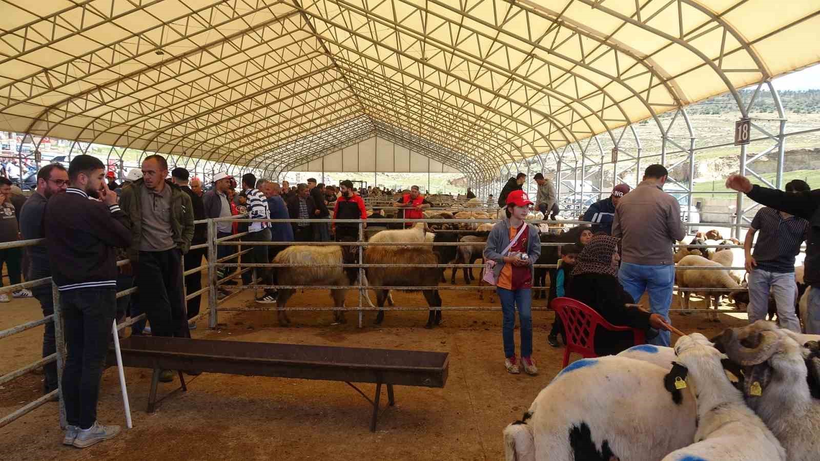 kiliste kurbanlik pazarinda hareketlilik artti 2 y8g2qHdC