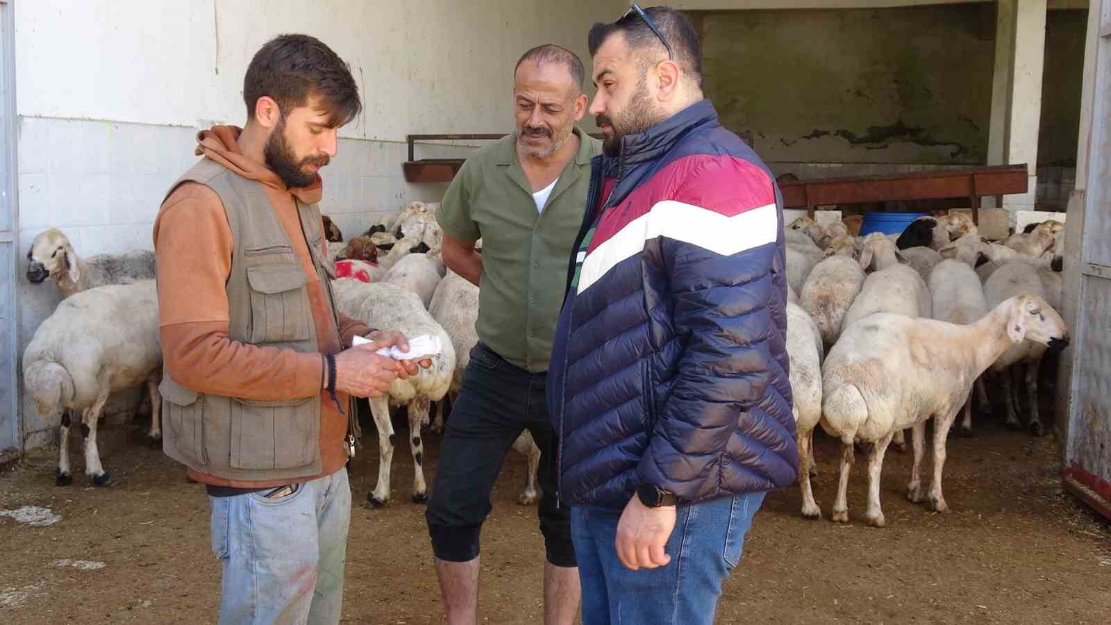 kiliste kurbanlik pazarinda hareketlilik artti 3 kRRdMF24