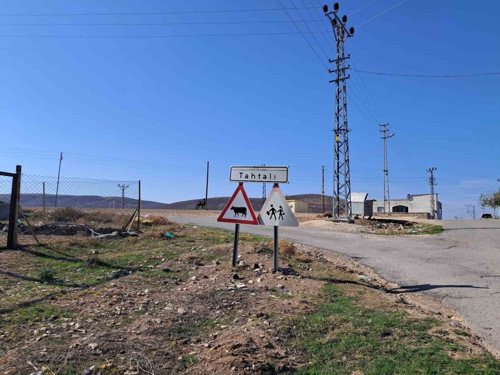 kiliste kurt saldirisinda 3 kucukbas telef oldu 3