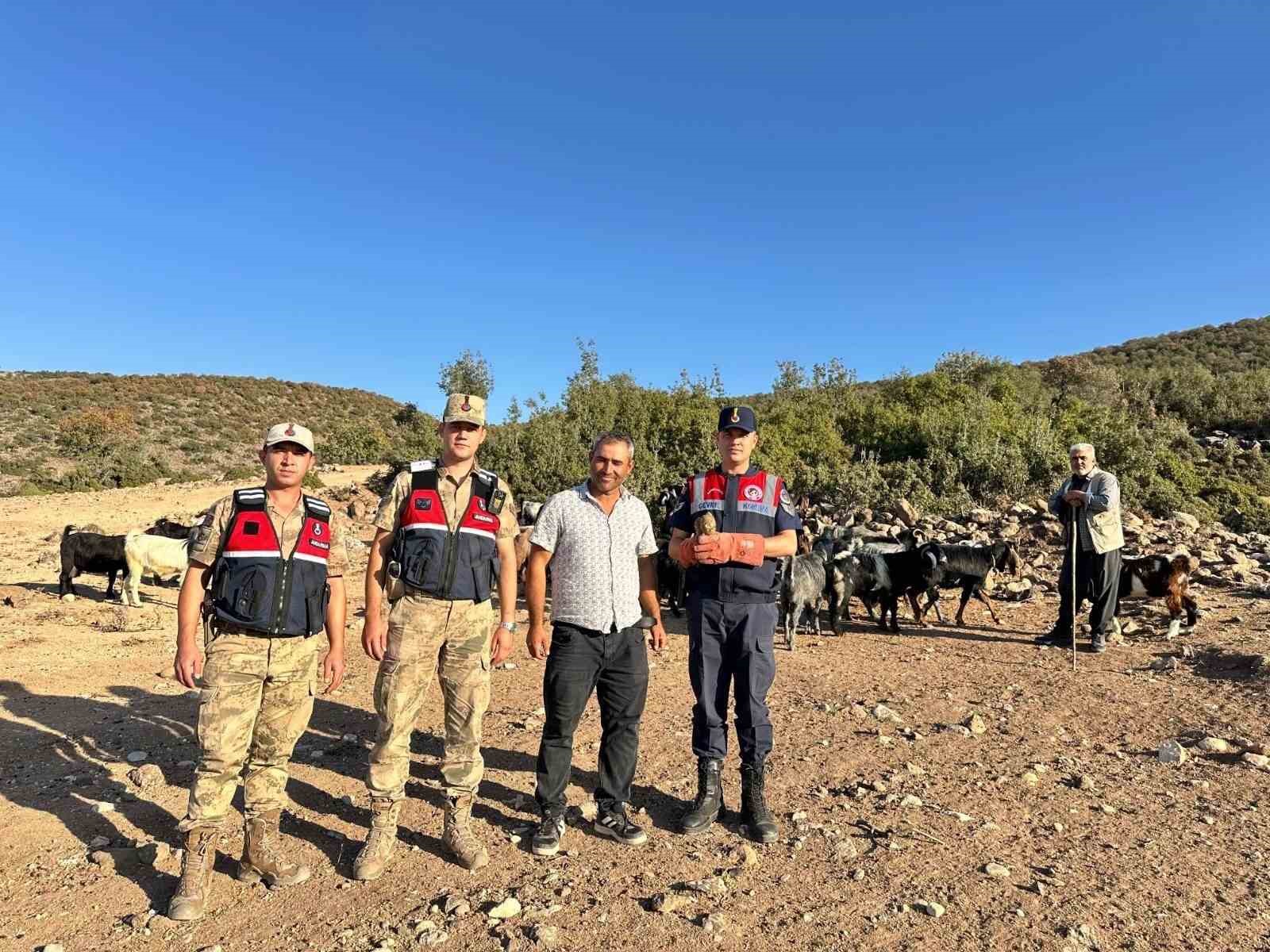 kiliste yarali halde bulunan kerkenez kusu koruma altina alindi 1 b1SpeJF5
