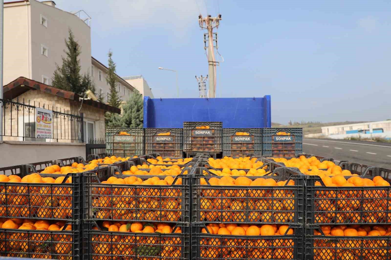 kilogram fiyati 2 tlye dusunce dalda curumeye birakilmisti 320 ton urun vatandaslara ucretsiz dagitildi 3FDRPyhC
