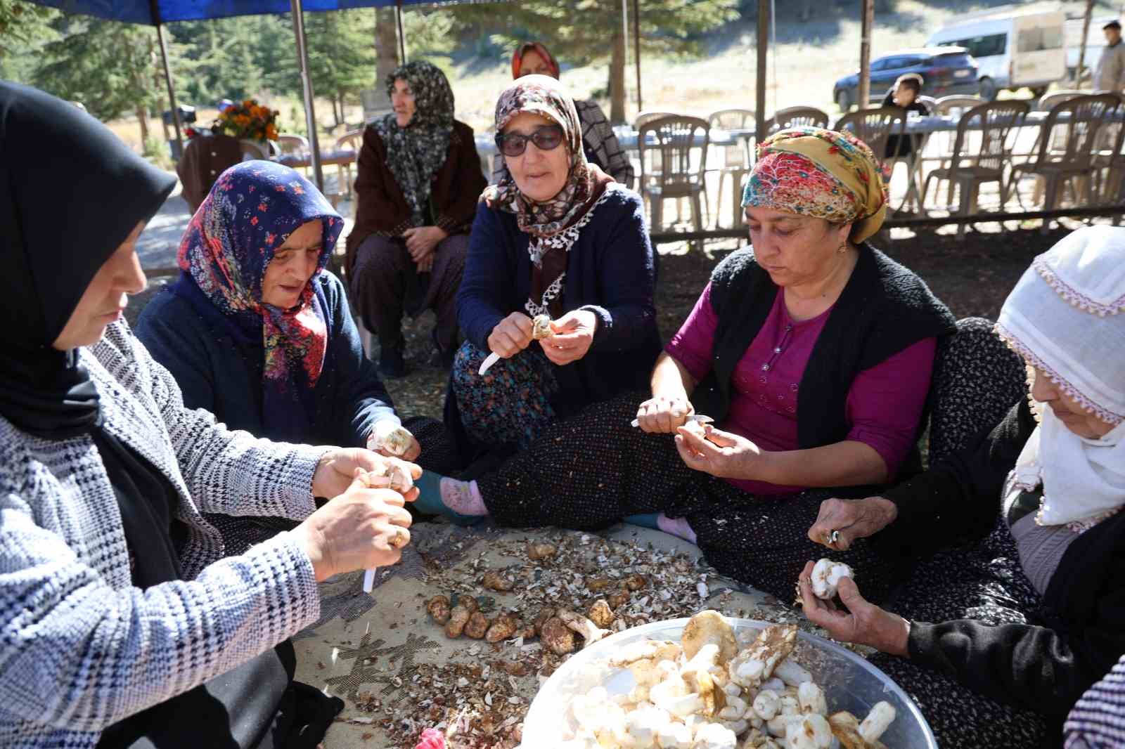Kilosu etle yarışıyor: Japonların gözdesi sedir mantarı çıktı 6 kilosu etle yarisiyor japonlarin gozdesi sedir mantari cikti 2 B8YuZKrf