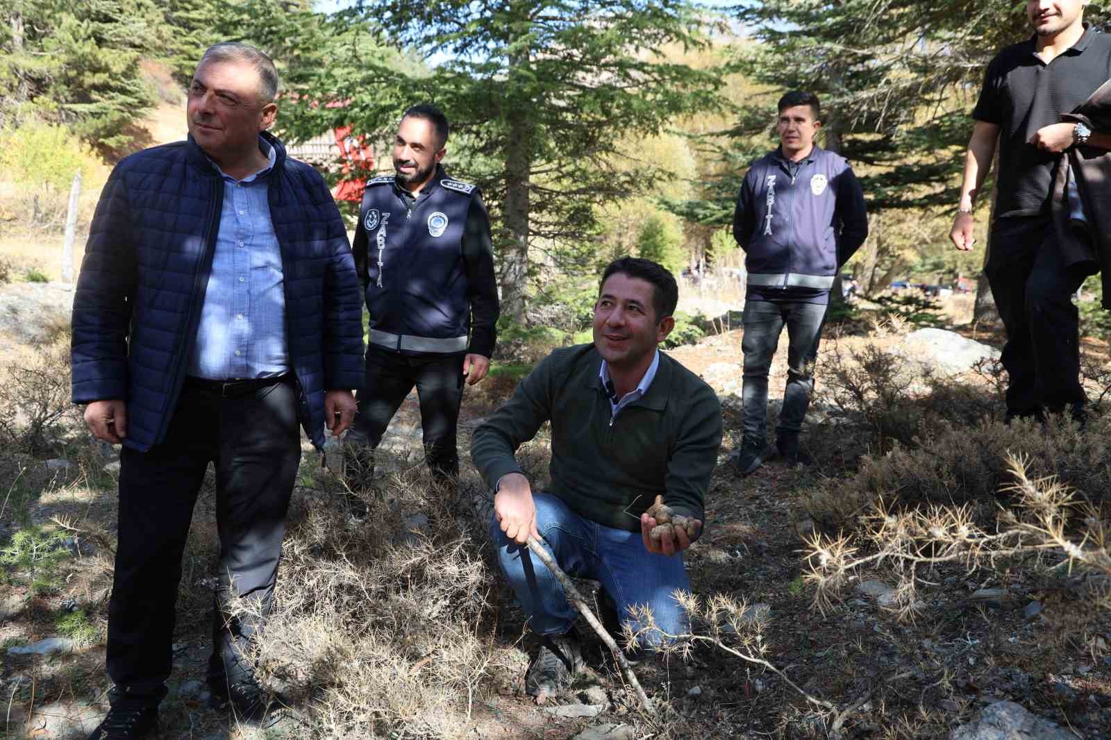 Kilosu etle yarışıyor: Japonların gözdesi sedir mantarı çıktı 9 kilosu etle yarisiyor japonlarin gozdesi sedir mantari cikti 5 ZnEwCAXP